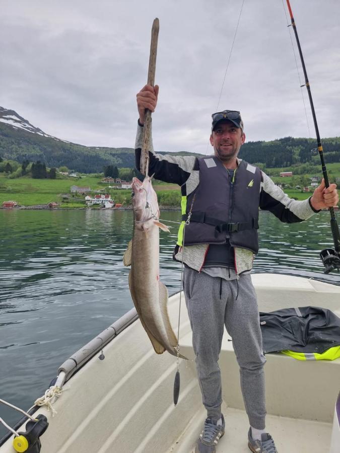 Kvernesfjorden Apartments Steinsgrenda Exteriör bild